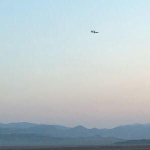 Meet your Posher, Carol